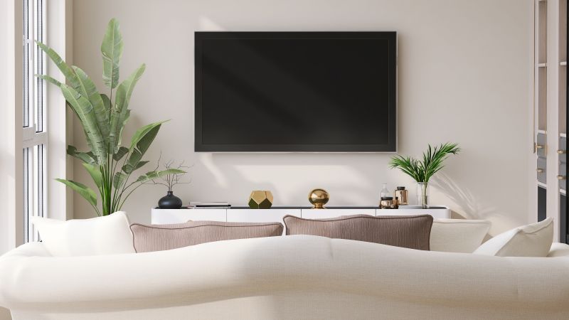 TV Repair Service